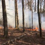In Nohfelden kam es am Donnerstag (16.04.2020) zu einem Waldbrand. Foto: Dirk Schäfer/Feuerwehr