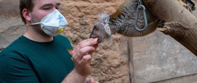 In Deutschland sollen die Zoos bald wieder öffnen dürfen. Symbolfoto: Klaus-Dietmar Gabbert/dpa-Zentralbild