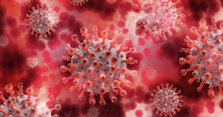 Bislang haben sich 2.719 Menschen im Saarland mit dem Coronavirus angesteckt. Foto: Pixabay