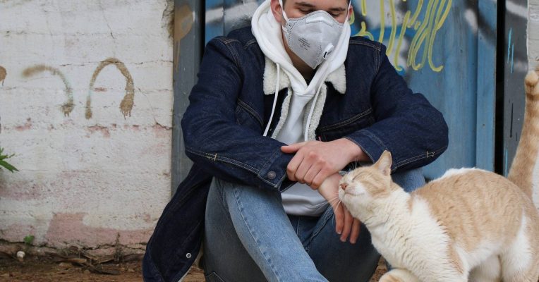 Katzen, die in Haushalten mit Corona-Infizierten lebten, sollten auf das Virus getestet werden. Symbolfoto: Pixabay