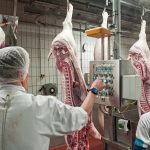 Das Saarland hat Testungen von Mitarbeitern der Fleischindustrie angekündigt. Symbolfoto: dpa-Bildfunk/Ingo Wagner