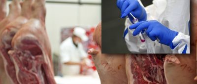 Die saarländische Landesregierung will in der Fleischproduktion Corona-Tests durchführen. Symbolfotos: Hendrik Schmitt/dpa-Bildfunk