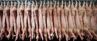 Um Ausbrüche zu vermeiden, wurden im Saarland 406 Mitarbeiter der Fleischindustrie auf das Coronavirus getestet. Symbolfoto: Mohssen Assanimoghaddam/dpa-Bildfunk