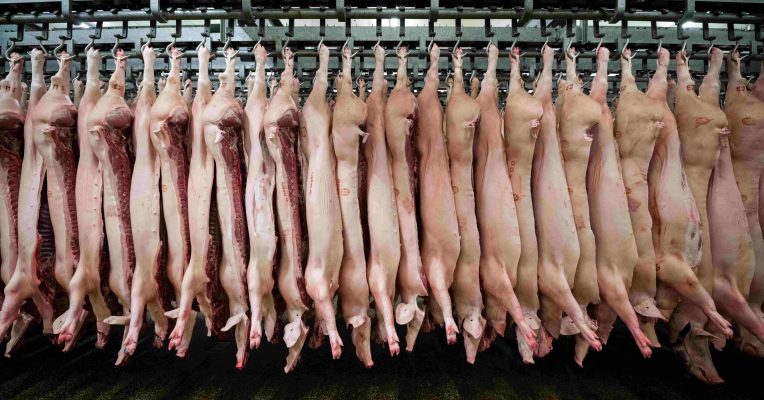 Um Ausbrüche zu vermeiden, wurden im Saarland 406 Mitarbeiter der Fleischindustrie auf das Coronavirus getestet. Symbolfoto: Mohssen Assanimoghaddam/dpa-Bildfunk