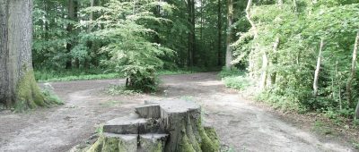In Saarbrücken wurden zwei junge Frauen auf einem Waldweg sexuell belästigt. Symbolfoto: Ralf Roeger/dpa