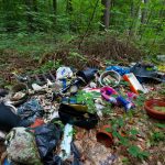 Die Gemeinde Ensdorf kämpft aktuell gegen Umweltsünder, die ihren Müll einfach in der Natur abladen. Symbolfoto: Patrick Pleul/dpa