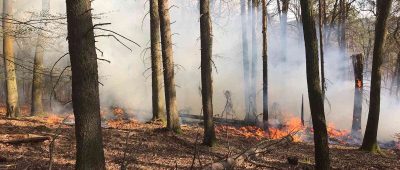 Die Gefahr von Waldbränden nimmt in den kommenden Tagen im Saarland zu. Symbolfoto: Dirk Schäfer/Feuerwehr