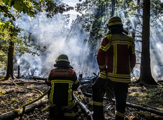 Im Landkreis Saarlouis kam es schon am Donnerstag (6. August 2020) zu zahlreichen Flächen- und Waldbränden. Foto: Rolf Ruppenthal