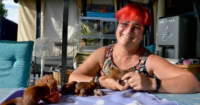 Monika Pfister kümmert sich seit zehn Jahren um Eichhörnchen. Foto: Harald Tittel/dpa-Bildfunk