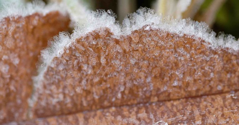 Bodenfrost ist in den kommenden Tagen nachts im Saarland möglich. Foto: Henning Kaiser/dpa-Bildfunk