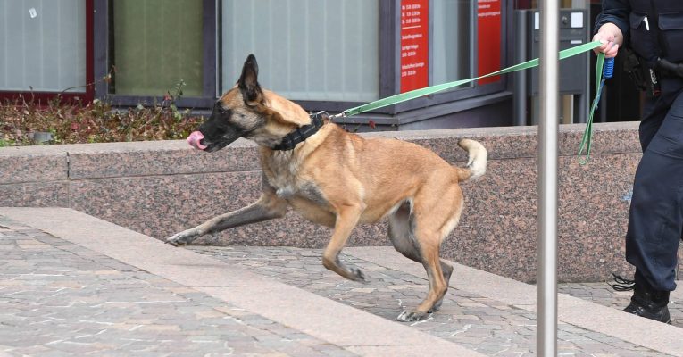 Ein Sprengstoffhund durchsuchte das Riegelsberger "Kaufland". Symbolfoto: Uli Deck/dpa-Bildfunk