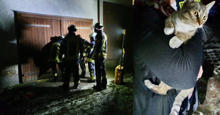 Die Katze war in einer verschlossenen Garage eingesperrt. Fotos: M. Becker/Freiwillige Feuerwehr Neunkirchen-Innenstadt