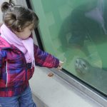 Der Eintritt für Kinder im Saarbrücker Zoo soll günstiger werden, der Erwachsenenpreis dafür steigen. Archivfoto: BeckerBredel