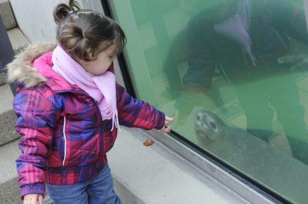 Der Eintritt für Kinder im Saarbrücker Zoo soll günstiger werden, der Erwachsenenpreis dafür steigen. Archivfoto: BeckerBredel