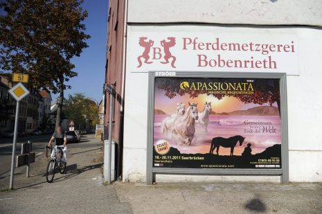 Eines der Beispiele aus unserer Liste: "Apassionata"-Werbung an der Pferdemetzgerei Bobenrieth in Saarbrücken-Dudweiler. Archivfoto: BeckerBredel